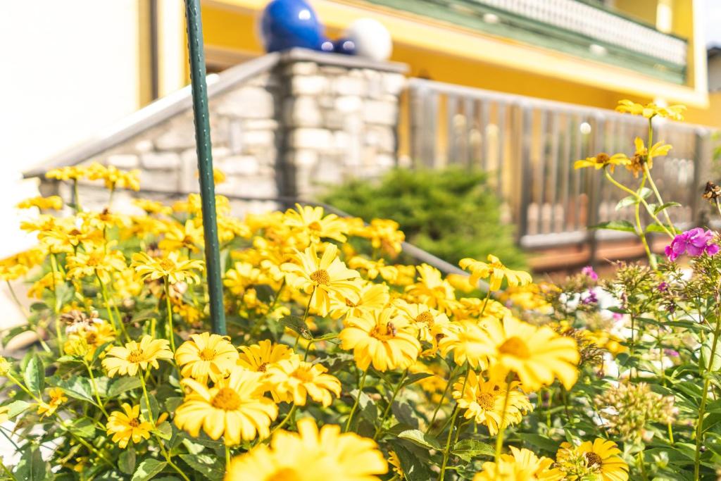 Zahrada ubytování Hotel Steffl Garni inkl Chiemgau Karte
