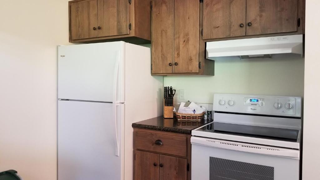 Kuchyň nebo kuchyňský kout v ubytování Eagle Cap Chalets