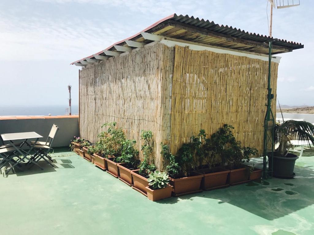 Fotografie z fotogalerie ubytování WIFI TENERIFE SUR GUEST HOUSE v destinaci Granadilla de Abona
