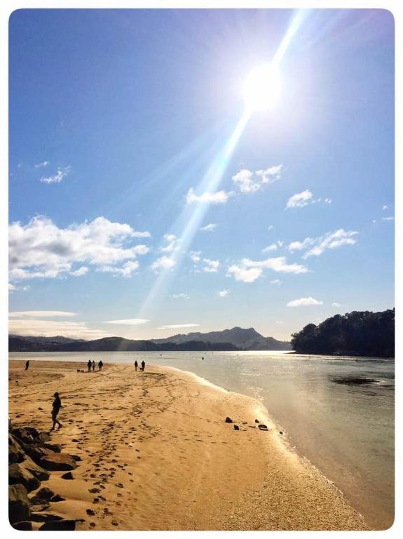 Albert Number 6 - Resim 17