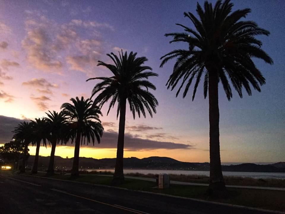 Albert Number 6 - Resim 21