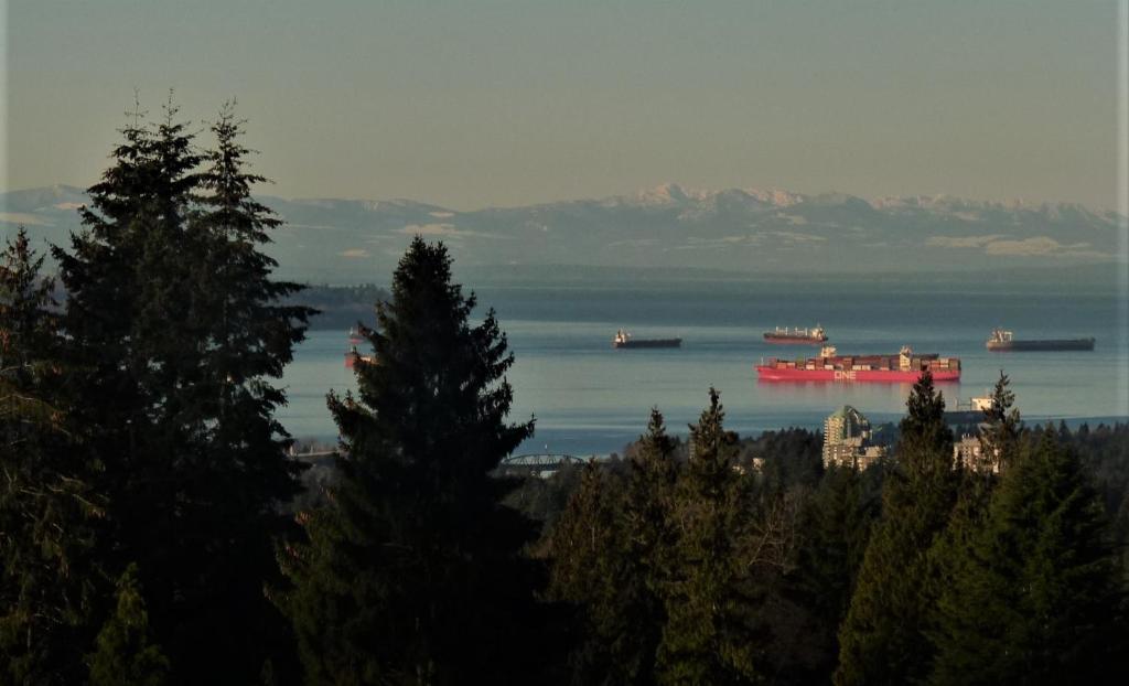 un gruppo di navi da carico nell’acqua con alberi di The Secret Garden Treehouse a North Vancouver