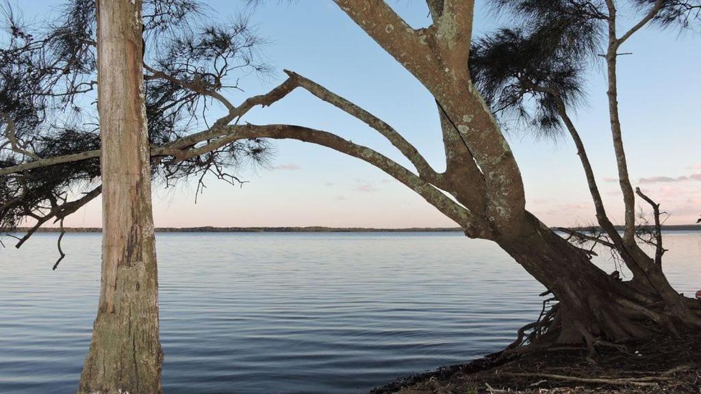 a couple of trees next to a body of water at Waterfront Jervis Bay Escape Cooinda in Sanctuary Point