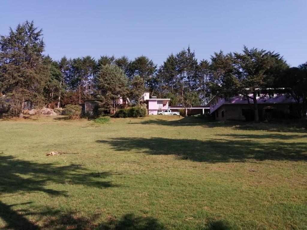 Giardino di Hotel Bosques