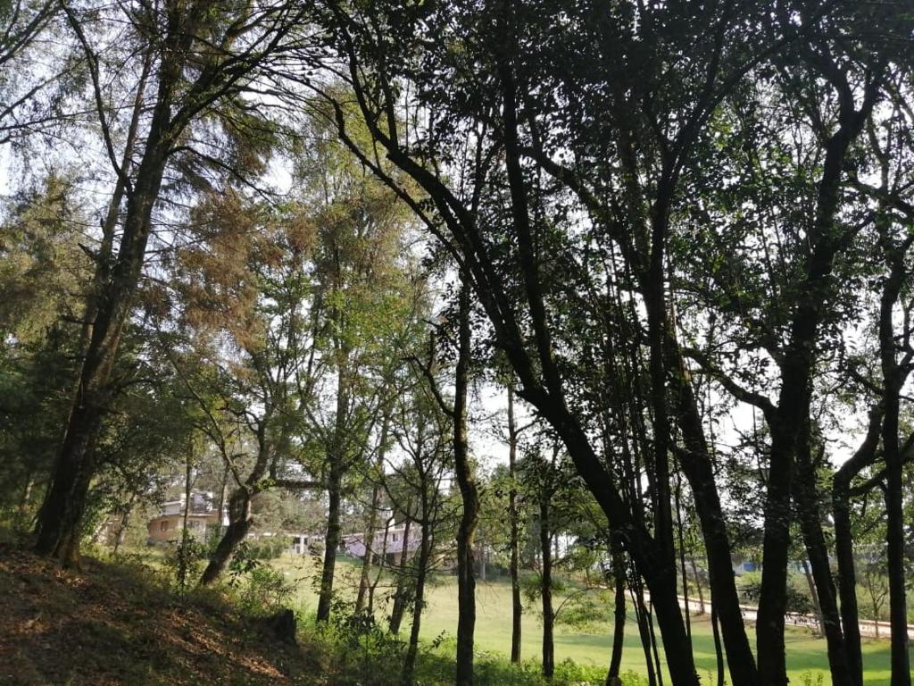 Paesaggio naturale nelle vicinanze dell'affittacamere