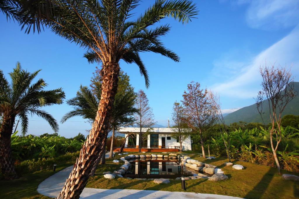 新城鄉的住宿－太魯閣研海泊別墅 Taroko Yan Hai Bo Villa，房屋前的棕榈树