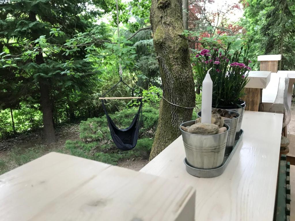 A garden outside Mesebeli Vendégház