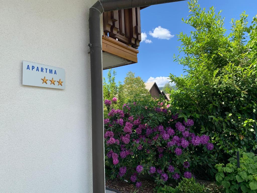 Zahrada ubytování Lusht'n apartma