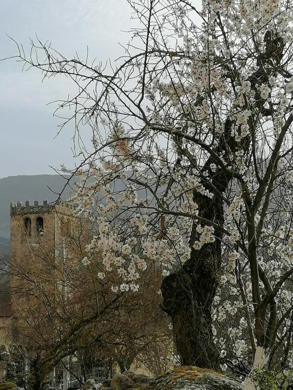 Príroda v okolí apartmánu