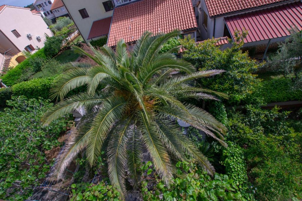 Cozy apartment with breakfast on request 1 - 9