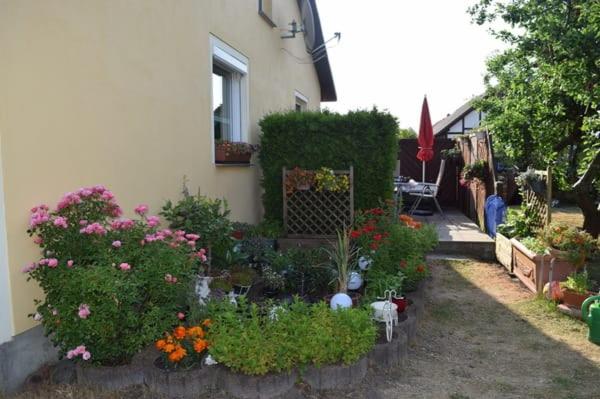 einen Garten mit Blumen und Pflanzen vor einem Haus in der Unterkunft Fewo am Achterwasser in Zempin