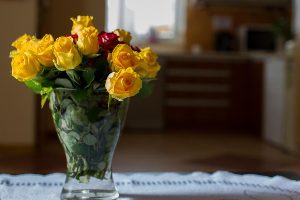 Hostel Rest - Resim 21