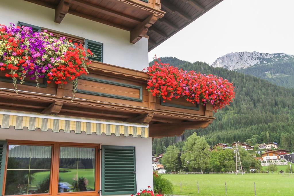 Nespecifikovaný výhled na hory nebo výhled na hory při pohledu z bed and breakfast
