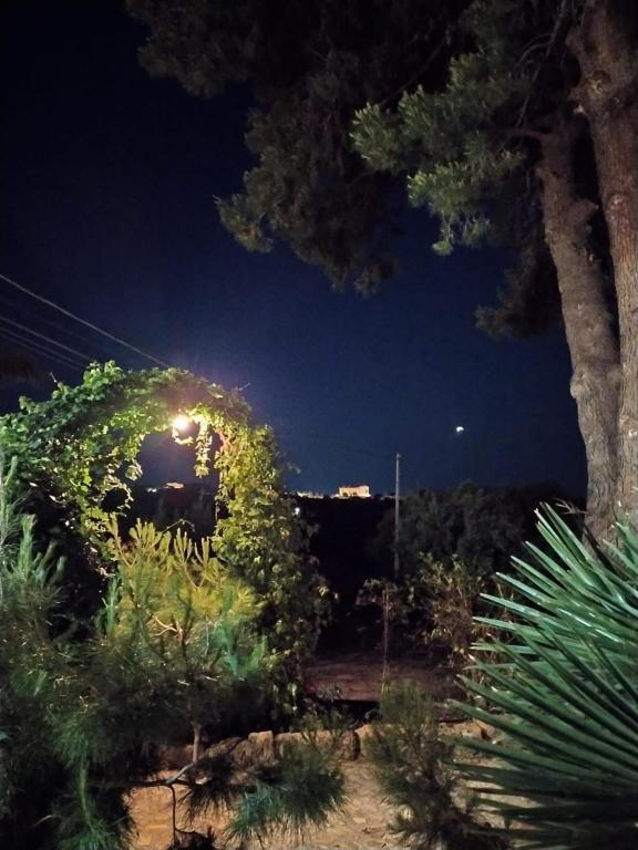 B&B Villa San Marco - 1