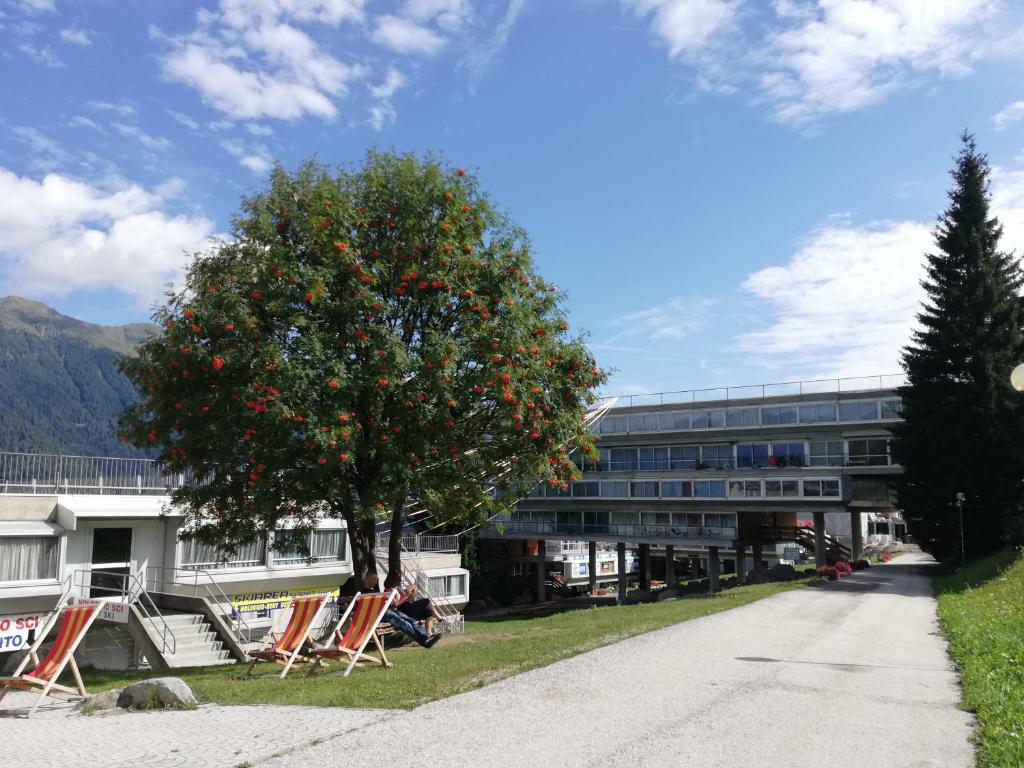 an orange tree in front of a building at Marilleva 1400 Appartamenti Montana in Marilleva