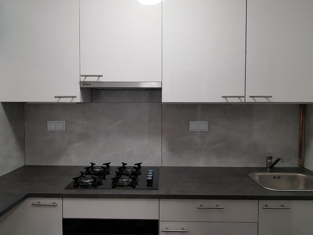 Kuchyňa alebo kuchynka v ubytovaní MirrorRoom PL Downtown