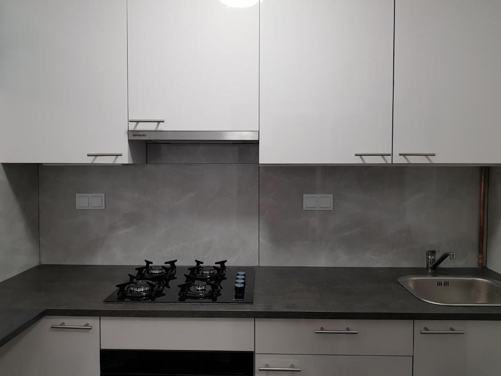 a kitchen with a stove and a sink at MirrorRoom PL Downtown in Warsaw