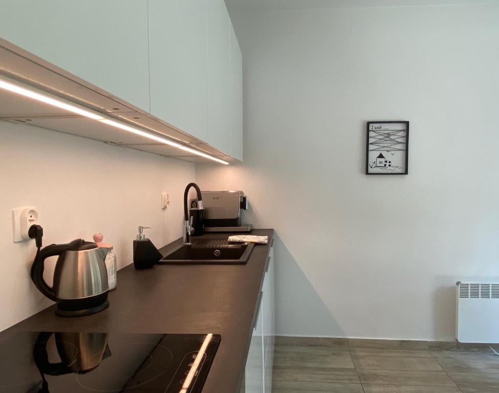 Kuchyň nebo kuchyňský kout v ubytování Sosnowe Zacisze Apartament