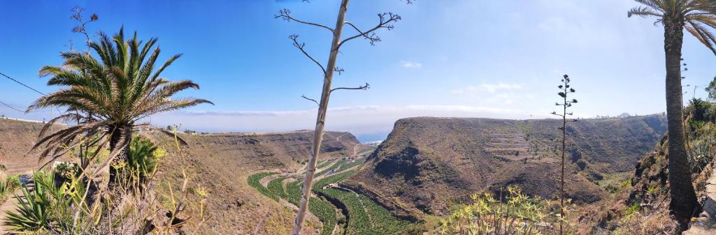 a view of a mountain with palm trees and a canyon at Casa Azuaje in Moya