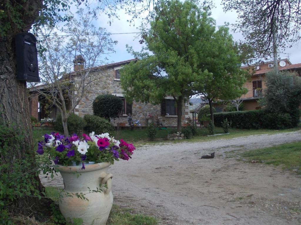Ogród w obiekcie Agriturismo La Valle degli Ulivi
