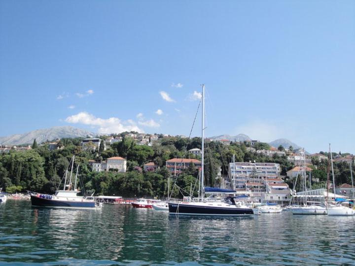 a group of boats are docked in a harbor at Appartement Carpe diem vue mer in Herceg-Novi