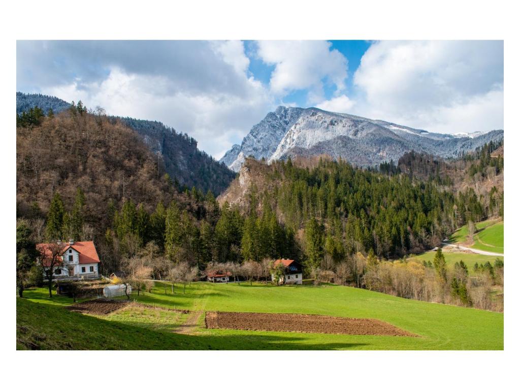 una casa en un campo con montañas en el fondo en Turistična kmetija Stoglej, en Luče