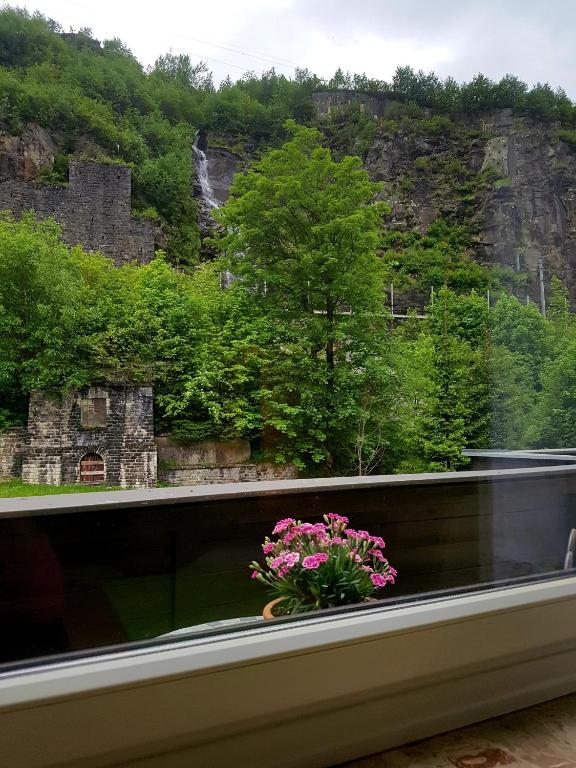 Táj az apartman közelében