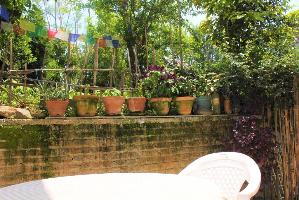 Zahrada ubytování KAJI HOME
