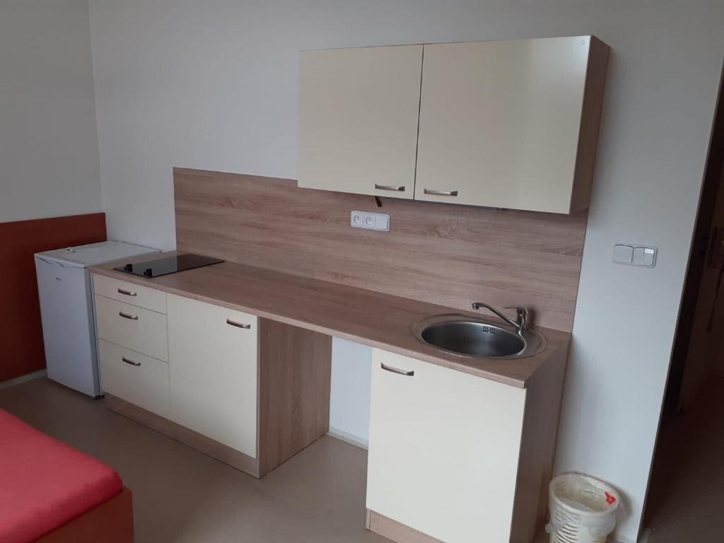 Sport Hotel Ceské Budejovice - Resim 9