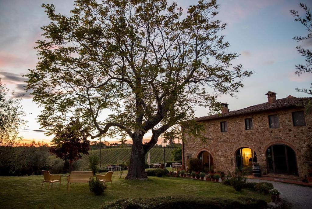 a tree in a yard next to a building at Agriturismo Macinello in Montefiridolfi