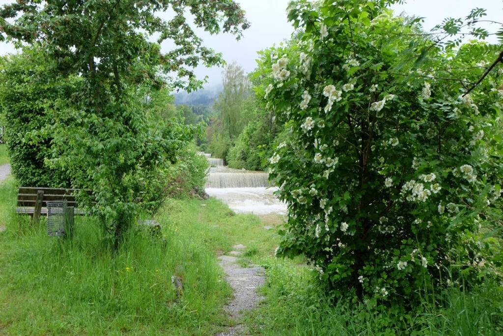 a path in a field with trees and a waterfall at Am Jenbach in Bad Feilnbach