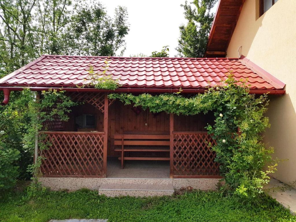 Zahrada ubytování Pensiunea Dana