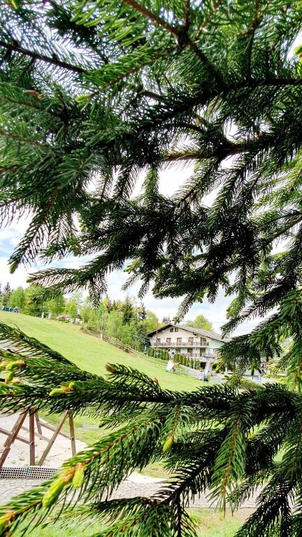 Un jardín fuera de Hotel Superski