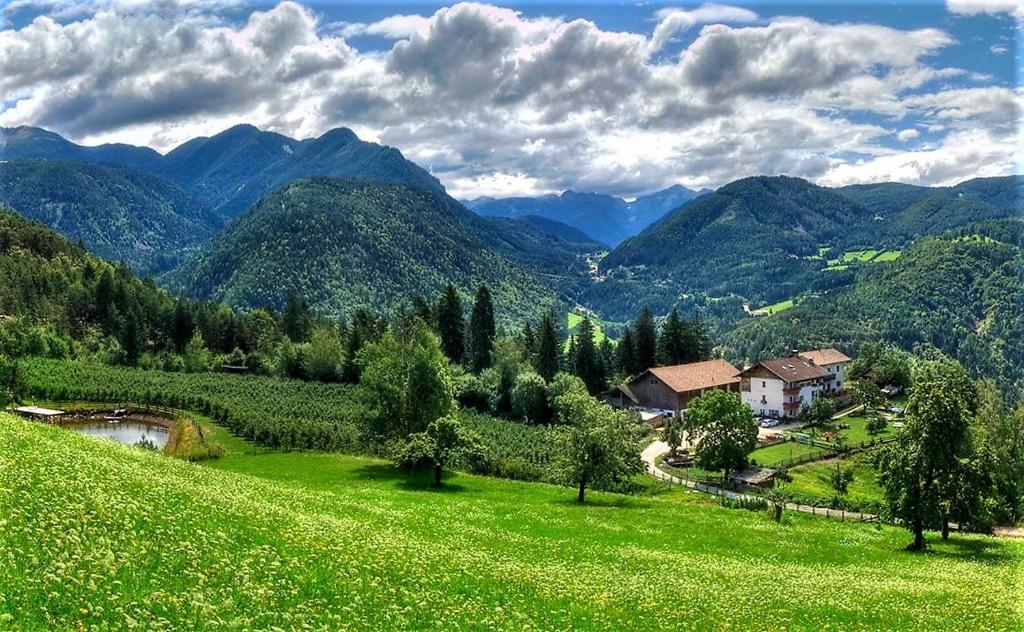 un champ verdoyant avec une maison et des montagnes en arrière-plan dans l'établissement Koflhof Urlaub auf dem Bauernhof, à Aldino