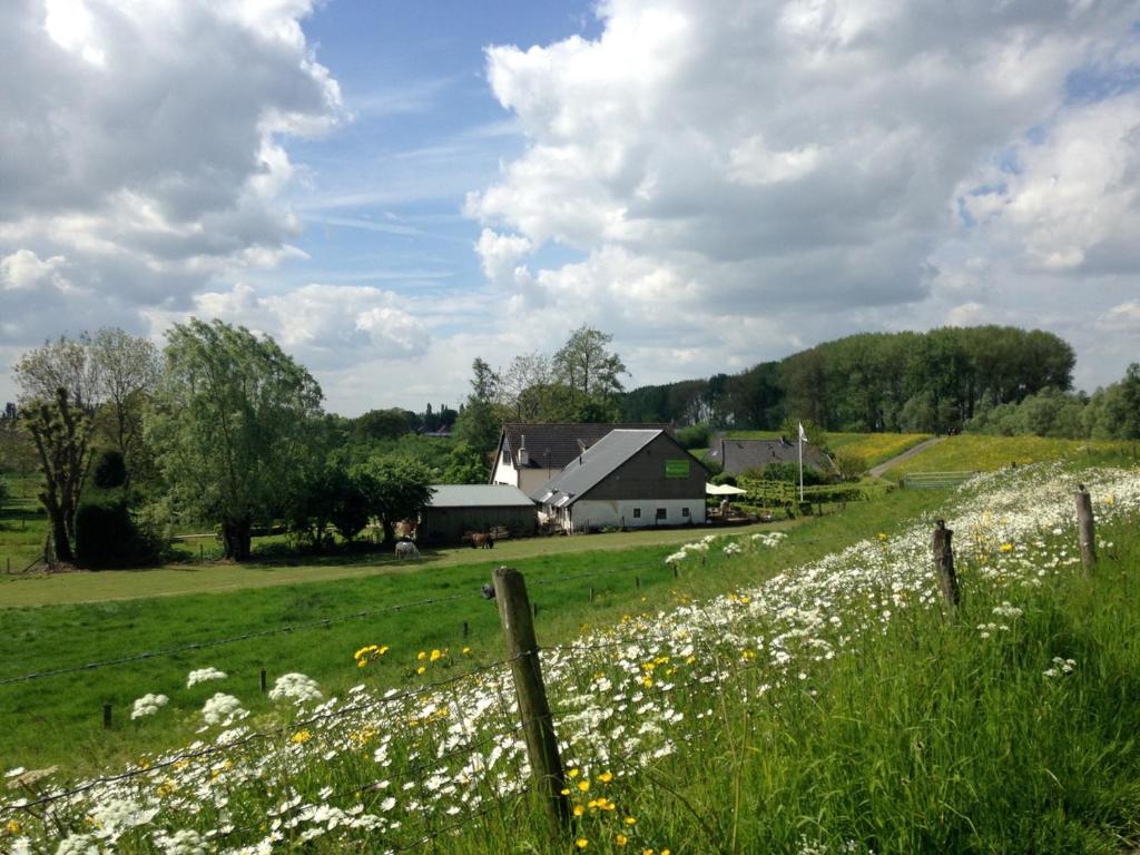 un campo de flores con un granero en el fondo en Dreumelse Waard en Dreumel