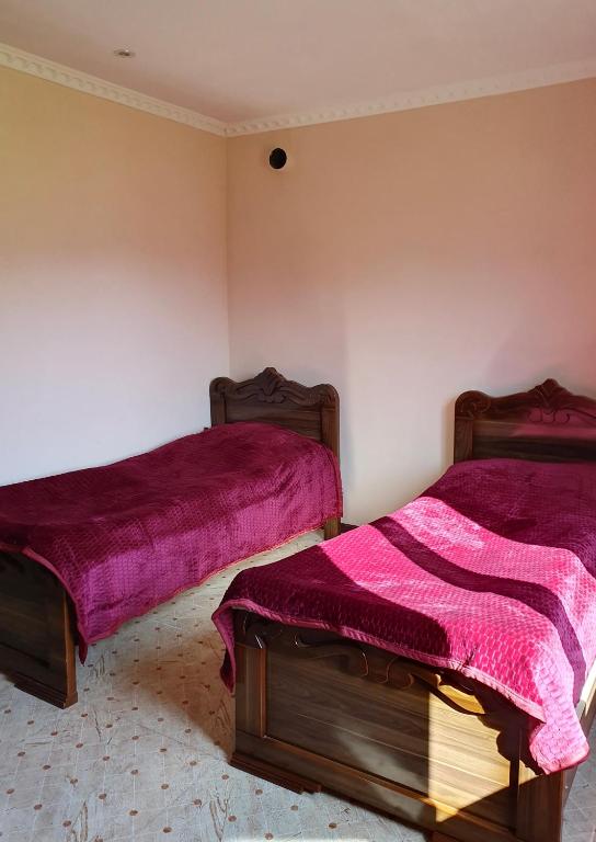 Postel nebo postele na pokoji v ubytování Valodia Guest House In Mestia