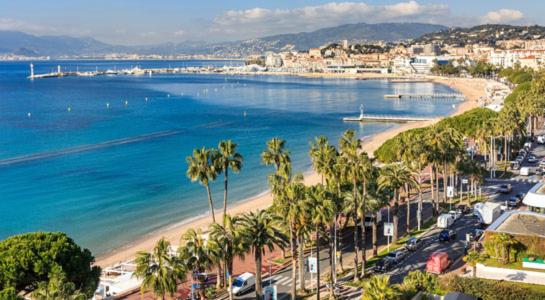 Vue panoramique sur l&#39;&eacute;tablissement Romantic and new apartment in the famous Rue Meynadier in the supercentre of Cannes