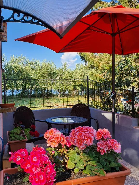 Um jardim no exterior de Apartment Eos