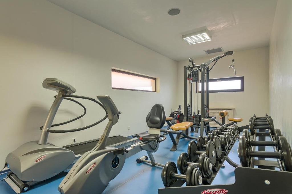 Fitness centrum a/nebo fitness zařízení v ubytování Hotel Snagov Club