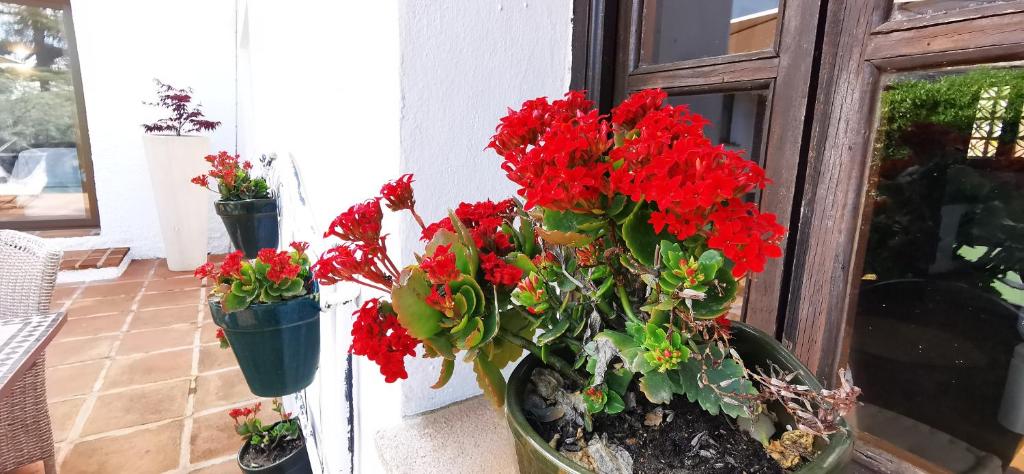 Vonkajšia záhrada v ubytovaní Roca Verde, Boutique Bed & Breakfast