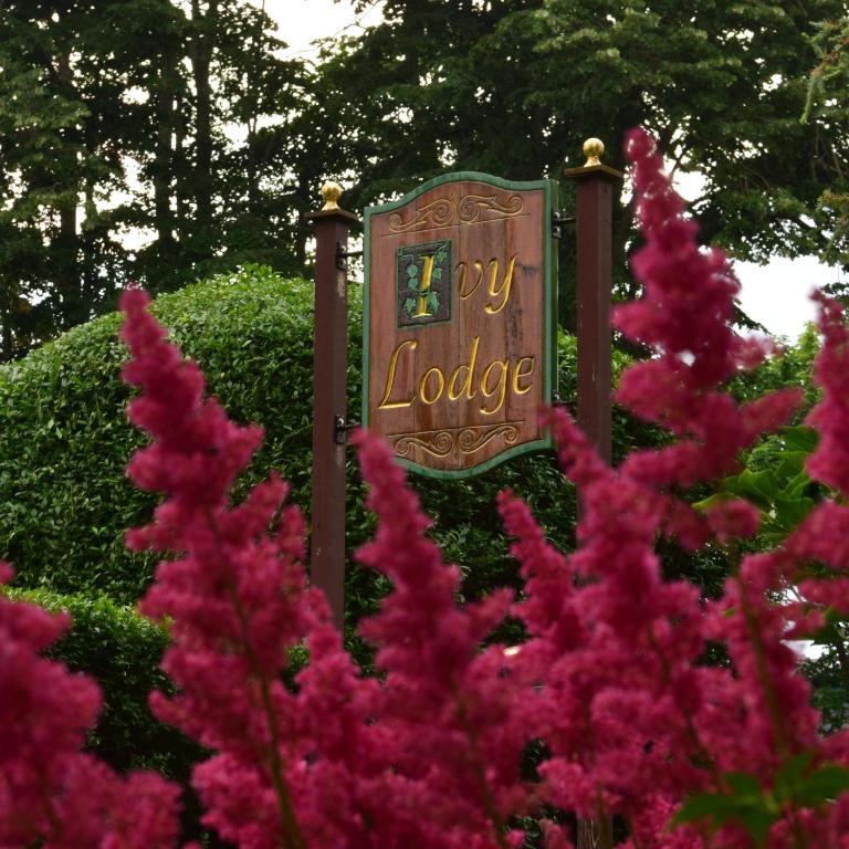 Zahrada ubytování Ivy Lodge