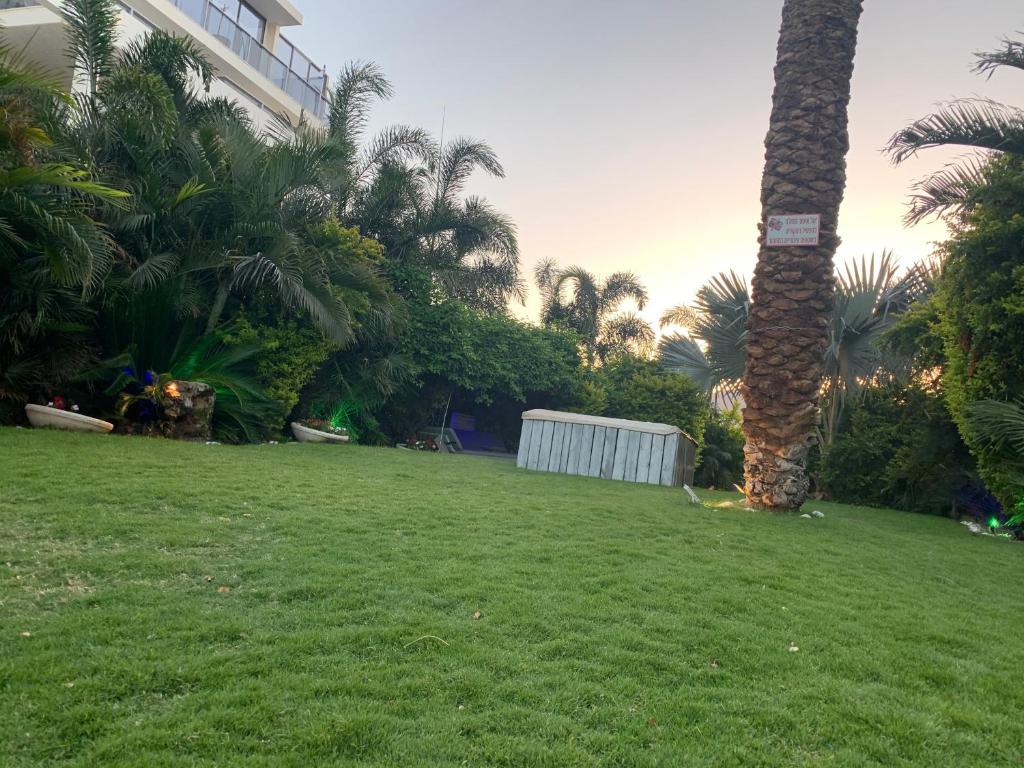 Ein Garten an der Unterkunft Top Royal Eilat רויאל פארק