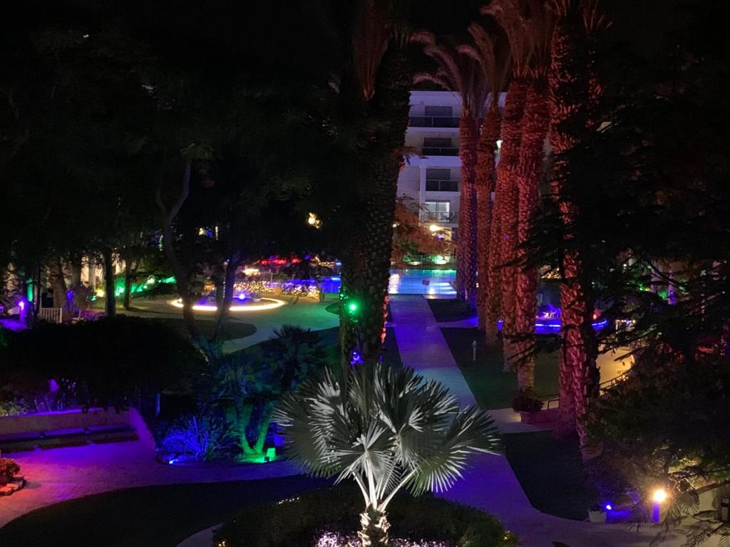 Ein Garten an der Unterkunft Top Royal Eilat רויאל פארק