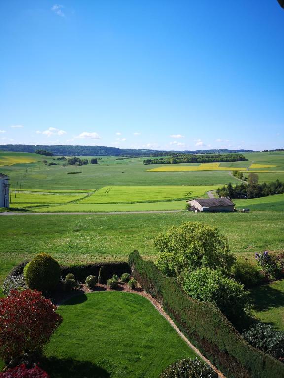 a green field with hedges and a house in the distance at Haus Marvin in Döttingen