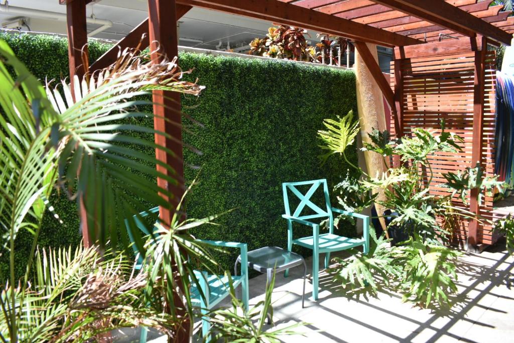 a garden with two chairs and a green hedge at Polynesian Hostel Beach Club in Honolulu