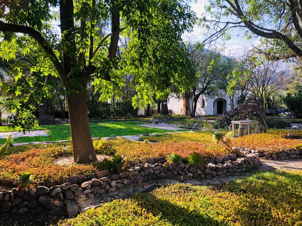 Zahrada ubytování Club Vergel Resort