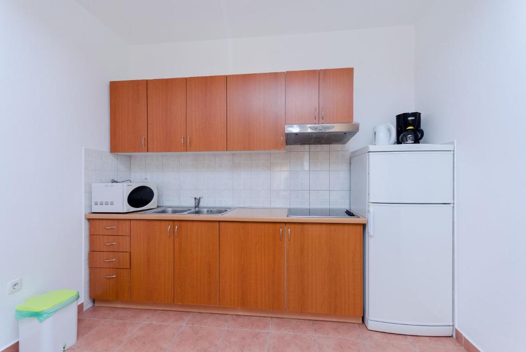 Kuchyňa alebo kuchynka v ubytovaní Apartments Alex