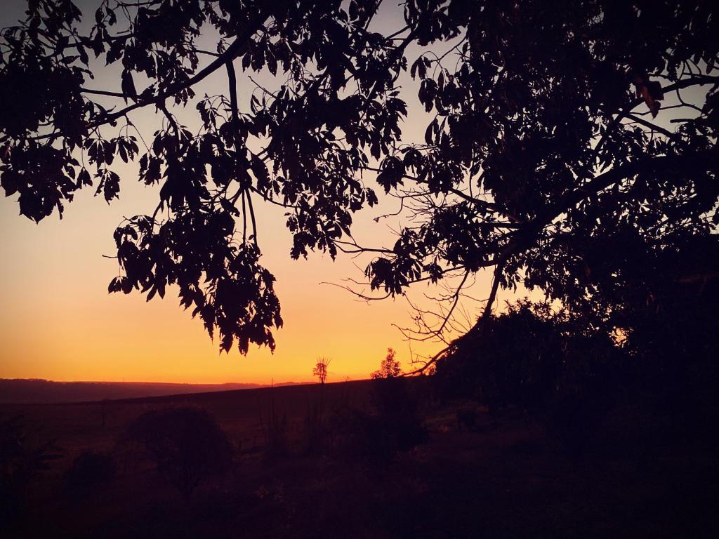  Casa de alto padrão em Haras