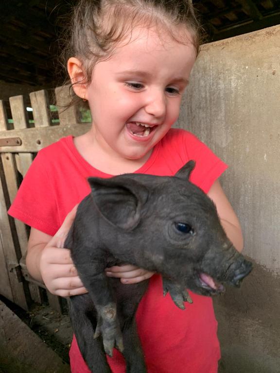  Casa de alto padrão em Haras