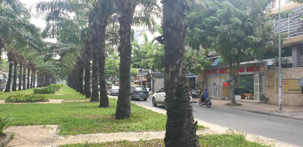Khach san Minh Minh Hiếu, Ho Chi Minh City, Vietnam